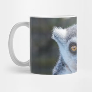 Ring Tailed Lemur Mug